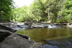 Twenty Mile Creek below Lower Ball's Falls