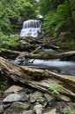 Lower Decew Falls